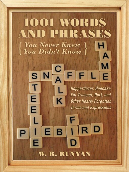 Title details for 1,001 Words and Phrases You Never Knew You Didn't Know by W. R. Runyan - Available